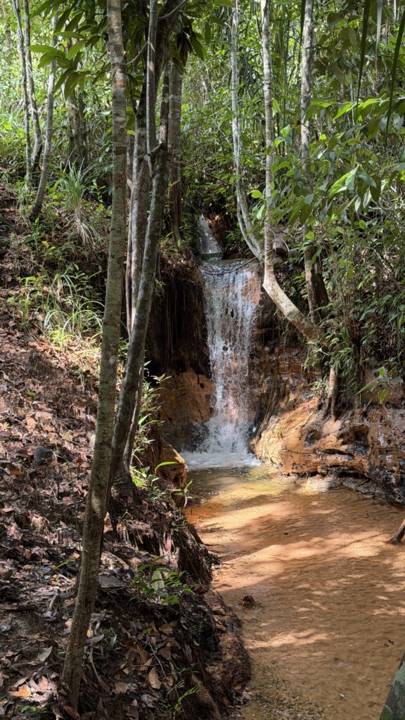 Trilha Paraíso das Águas