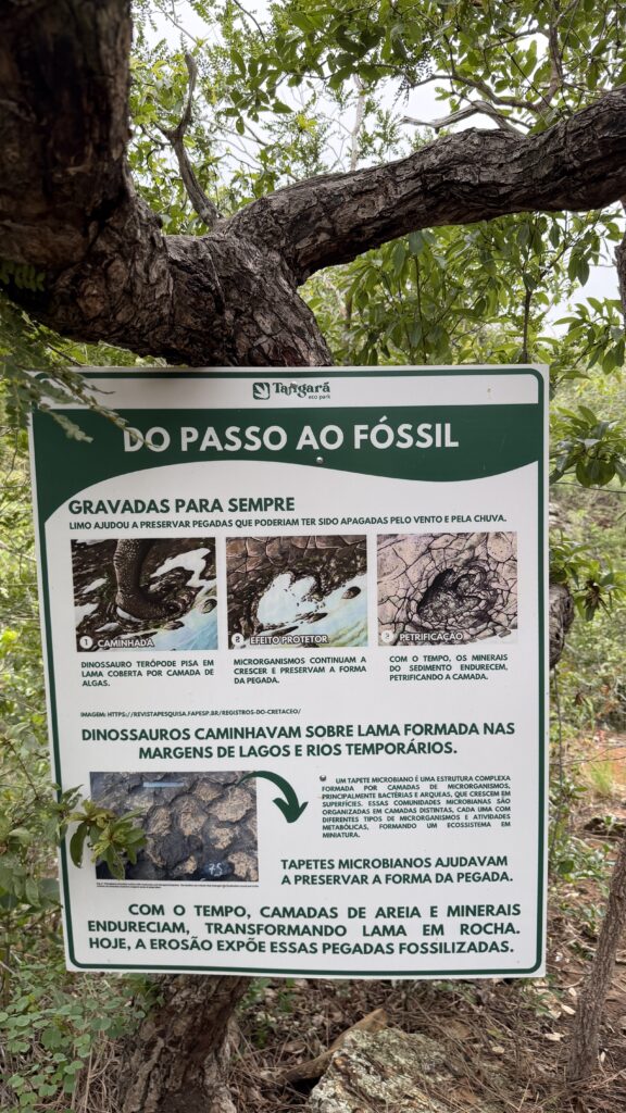 Trilha dos Dinossauros